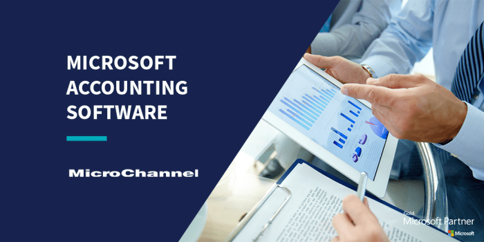 Accounting software microsoft