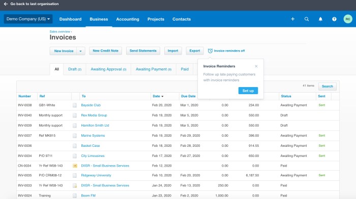 Xero accounting software