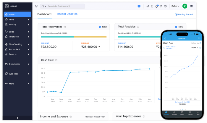 Accounting software zoho