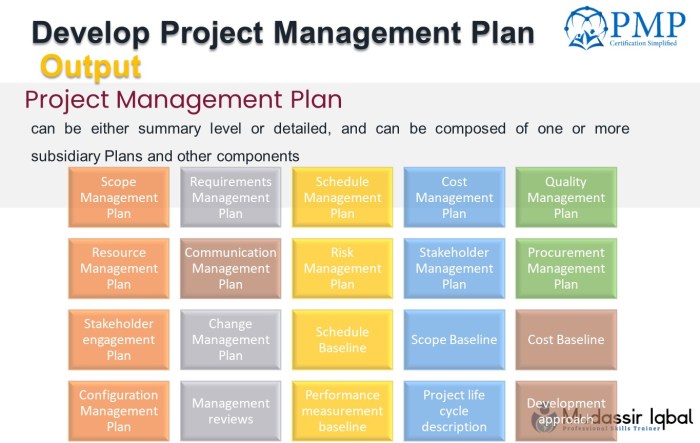 Develop subsidiary derived eventually Project management plan